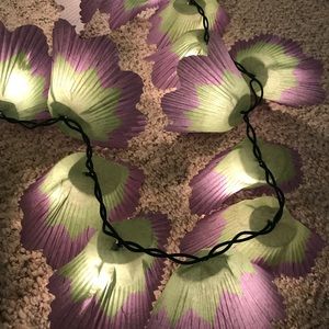 Meet your Posher, Taryn